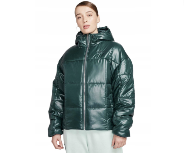 Жіноча куртка Nike W NSW PE Shine Puffer FB8769-328 green